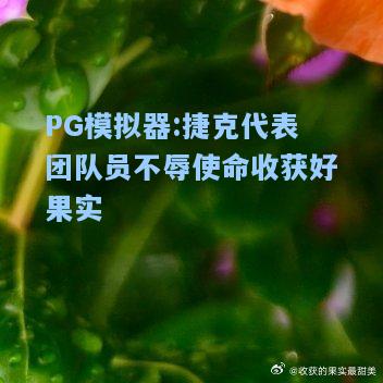 捷克代表团队员不辱使命收获好果实