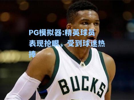 精英球员表现抢眼，受到球迷热捧