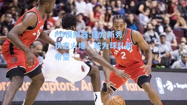 猛龙新秀状态火爆，成为球队新希望
